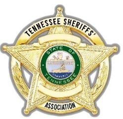TSA Lapel Pin