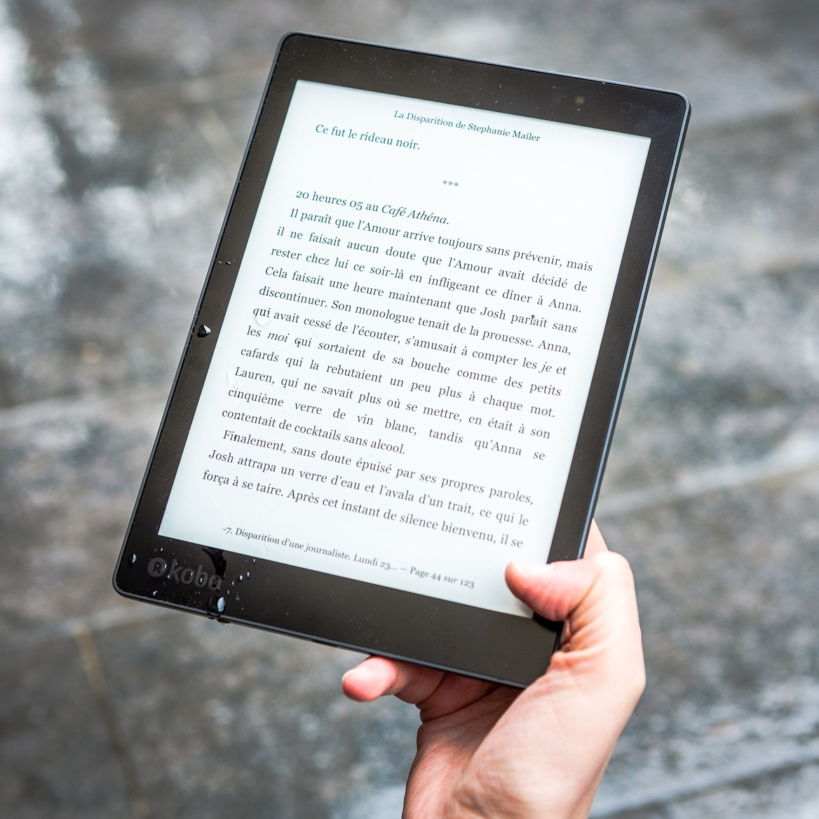 Pflanzenpflege (E-Book)