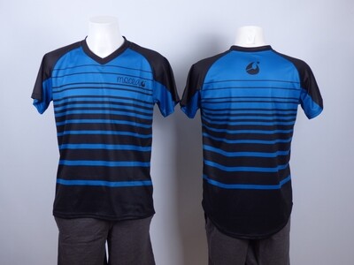 blue stripes