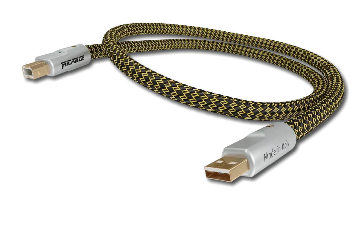 RICABLE DEDALUS USB - Hi-End Digital Audio Cable USB 2.0 A/B RICABLE DEDALUS USB - Hi-End Digital Audio Cable USB 2.0 A/B