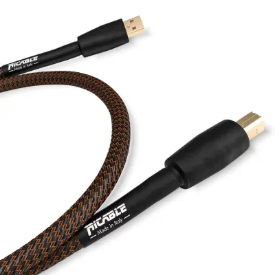 RICABLE DEDALUS USB - Hi-End Digital Audio Cable USB 2.0 A/B