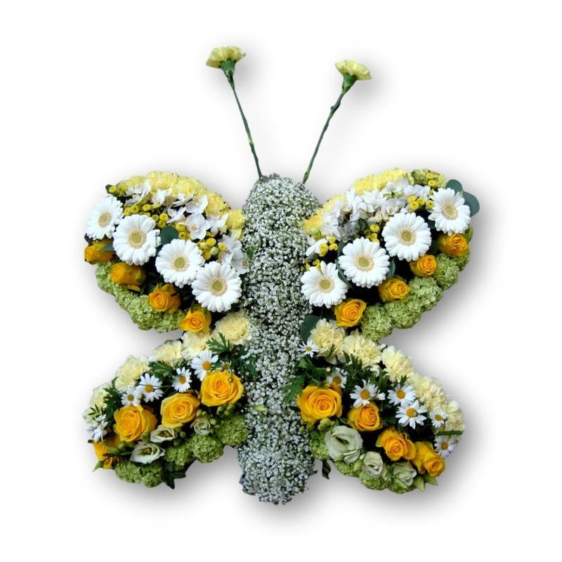 Schmetterling weiss/gelb