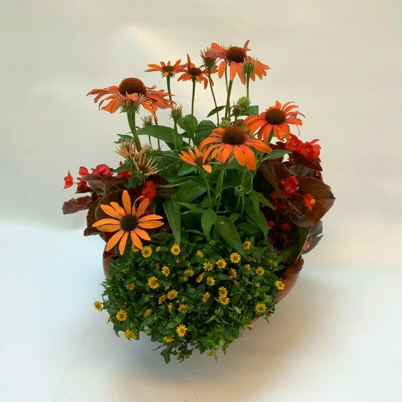 Bepflanztes Gefäss Sommer - orange/rot/gelb