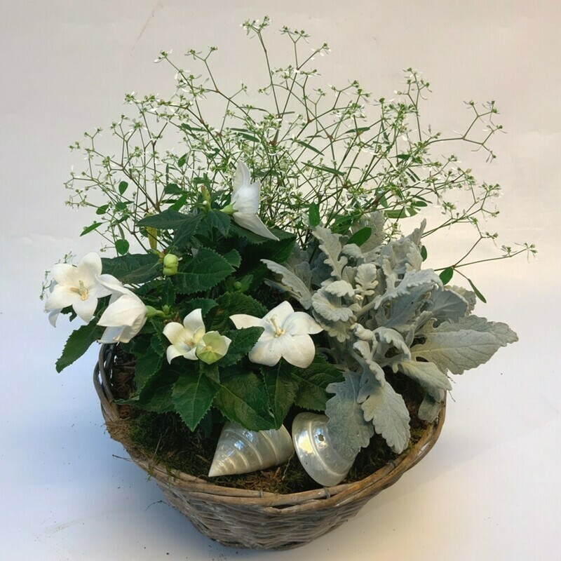 Bepflanztes Gefäss Sommer - weiss/grün