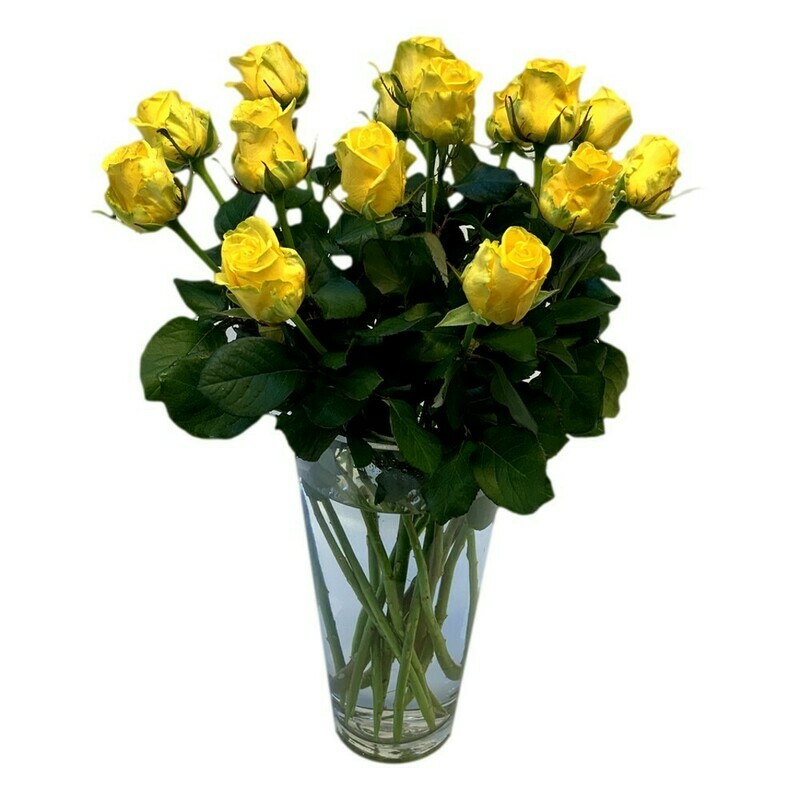 Rosen gelb