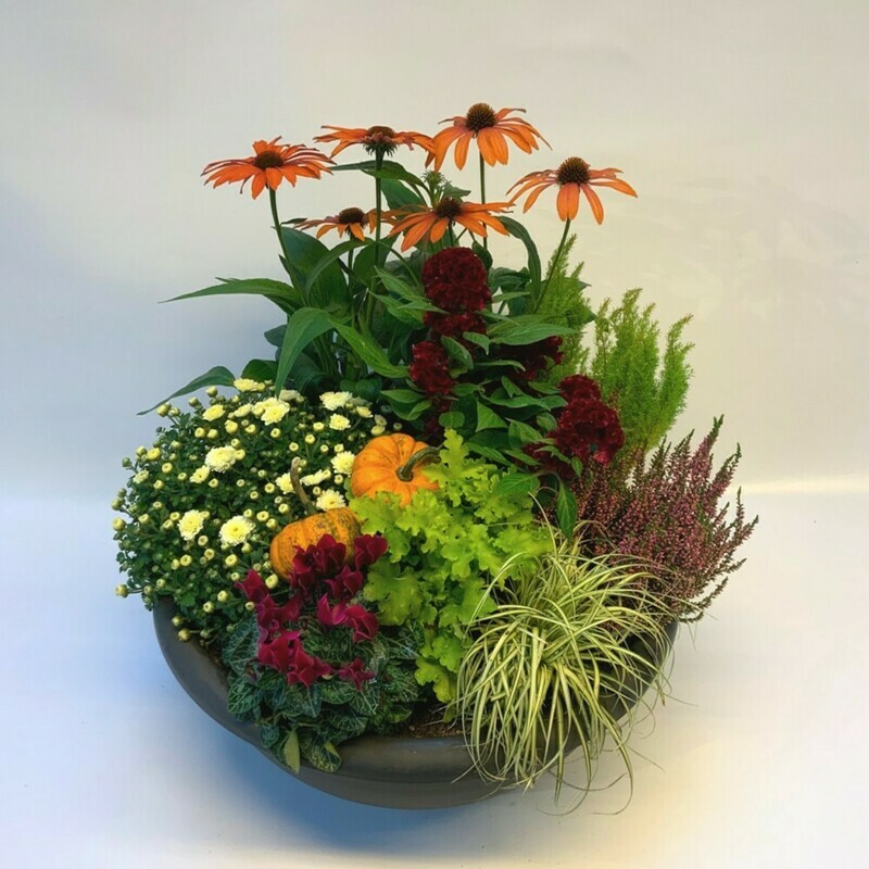 Bepflanztes Gefäss Herbst - orange/rot