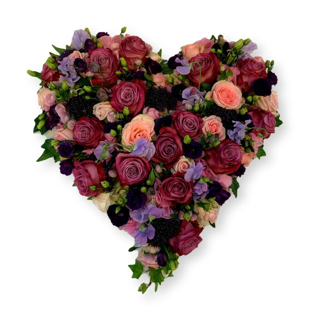 Herz violett/rosa