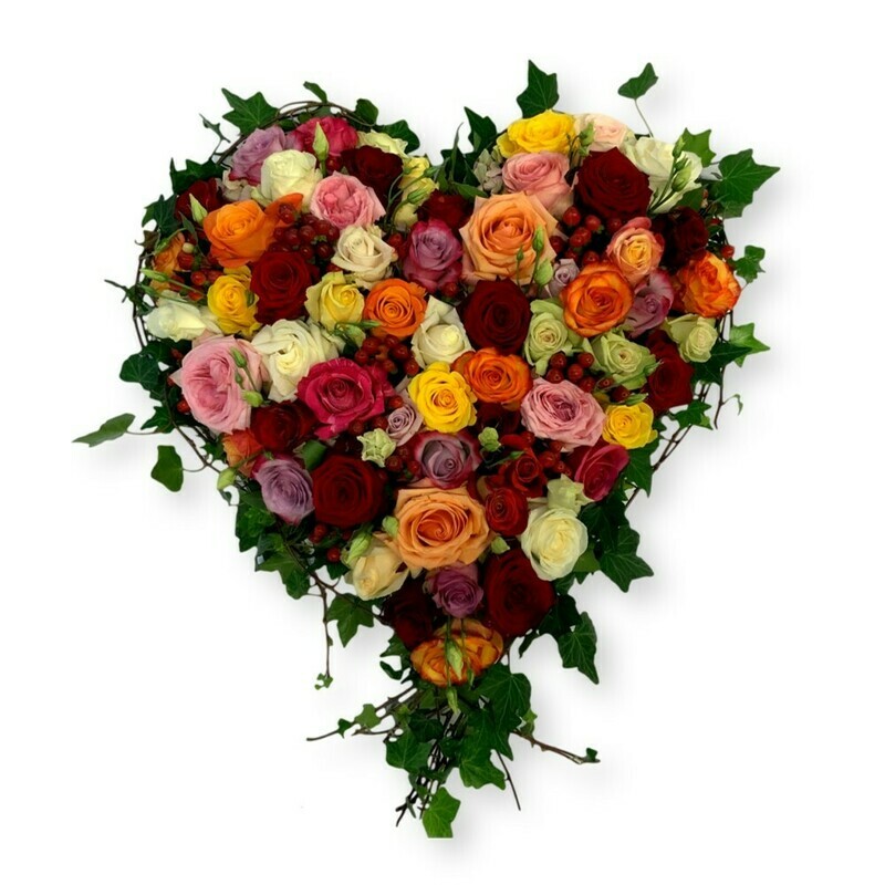 Rosenherz bunt