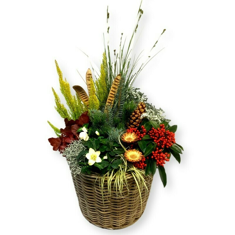 Bepflanztes Gefäss Winter - bunt