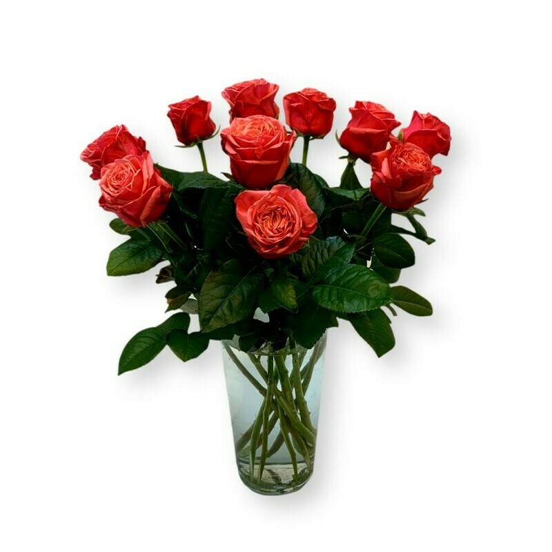Rosen rosa/orange