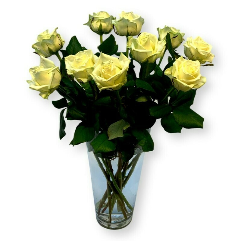 Rosen weiss