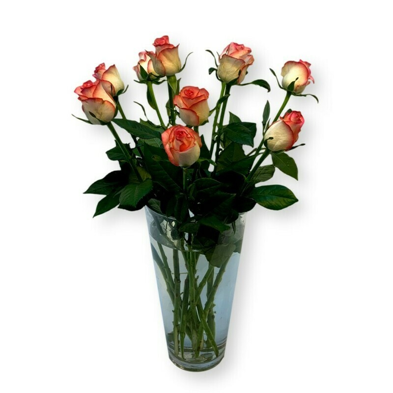 Rosen rosa/ weiss