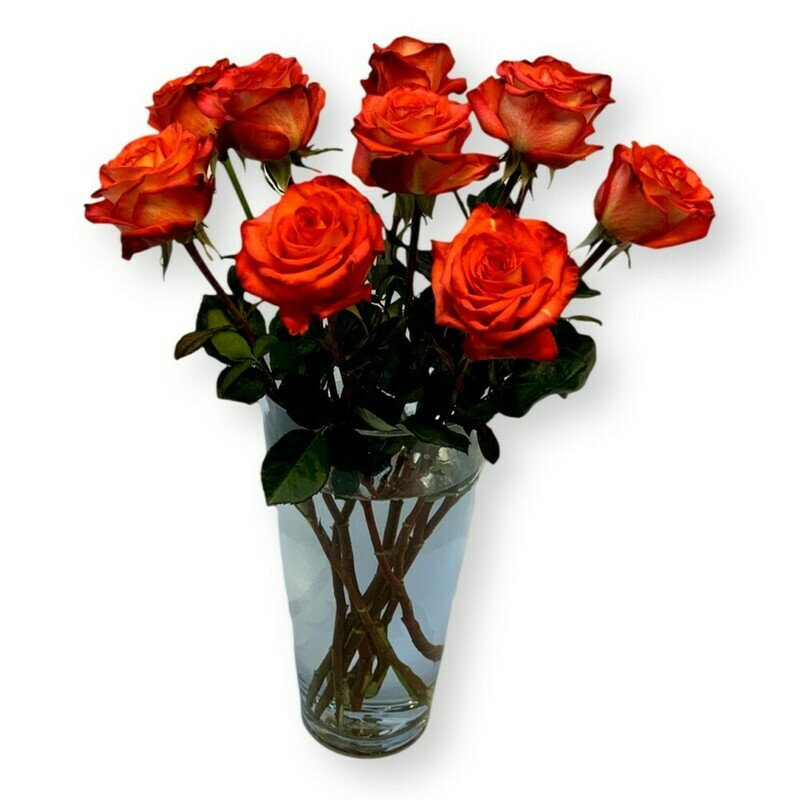 Rosen orange