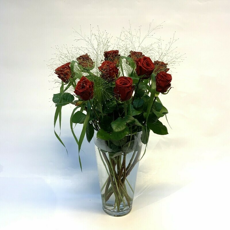 Rosen rot mit grün