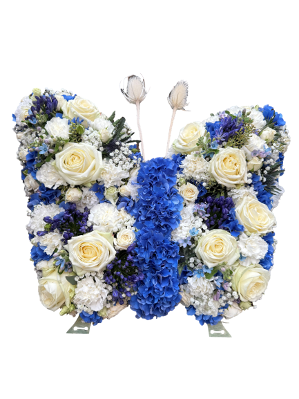 Schmetterling weiss/blau