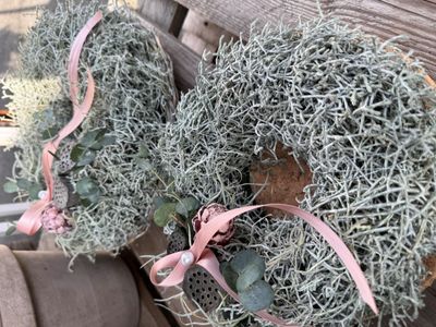 Winterarrangement Calostephaluskränzli garniert