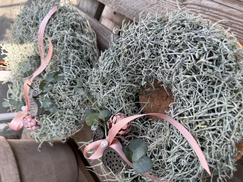 Winterarrangement Calostephaluskränzli garniert