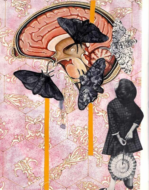 Moths Collage Print