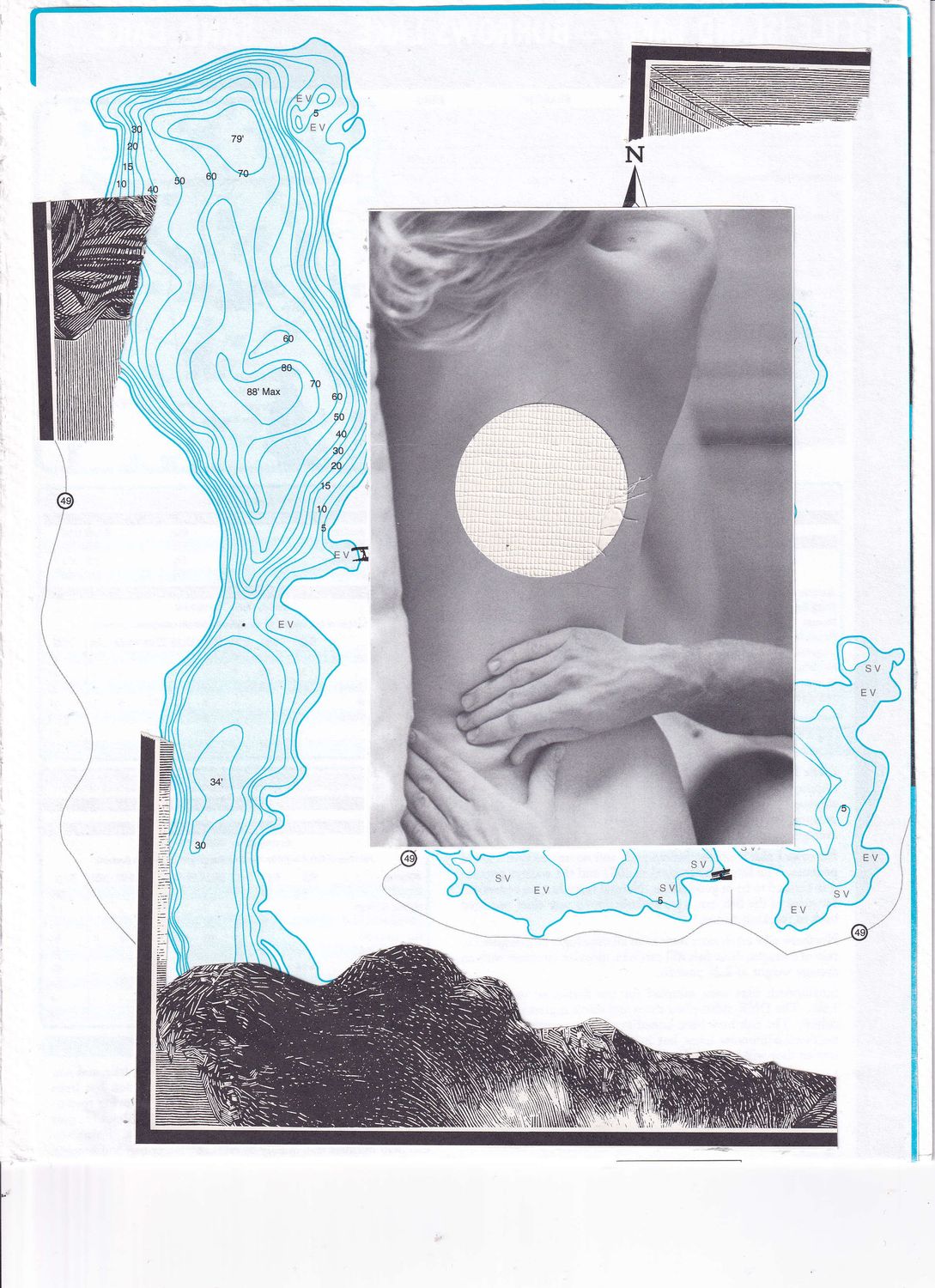 Collage - Pull