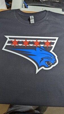 Beecher Chicago Tee