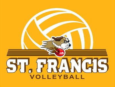 USF Volleyball Lines Hoodie