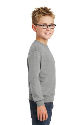 Zizumbo Grey Crewneck PE Sweatshirt With Navy Print