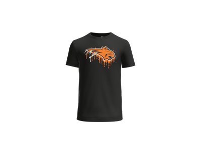 Beecher Dripping Cat