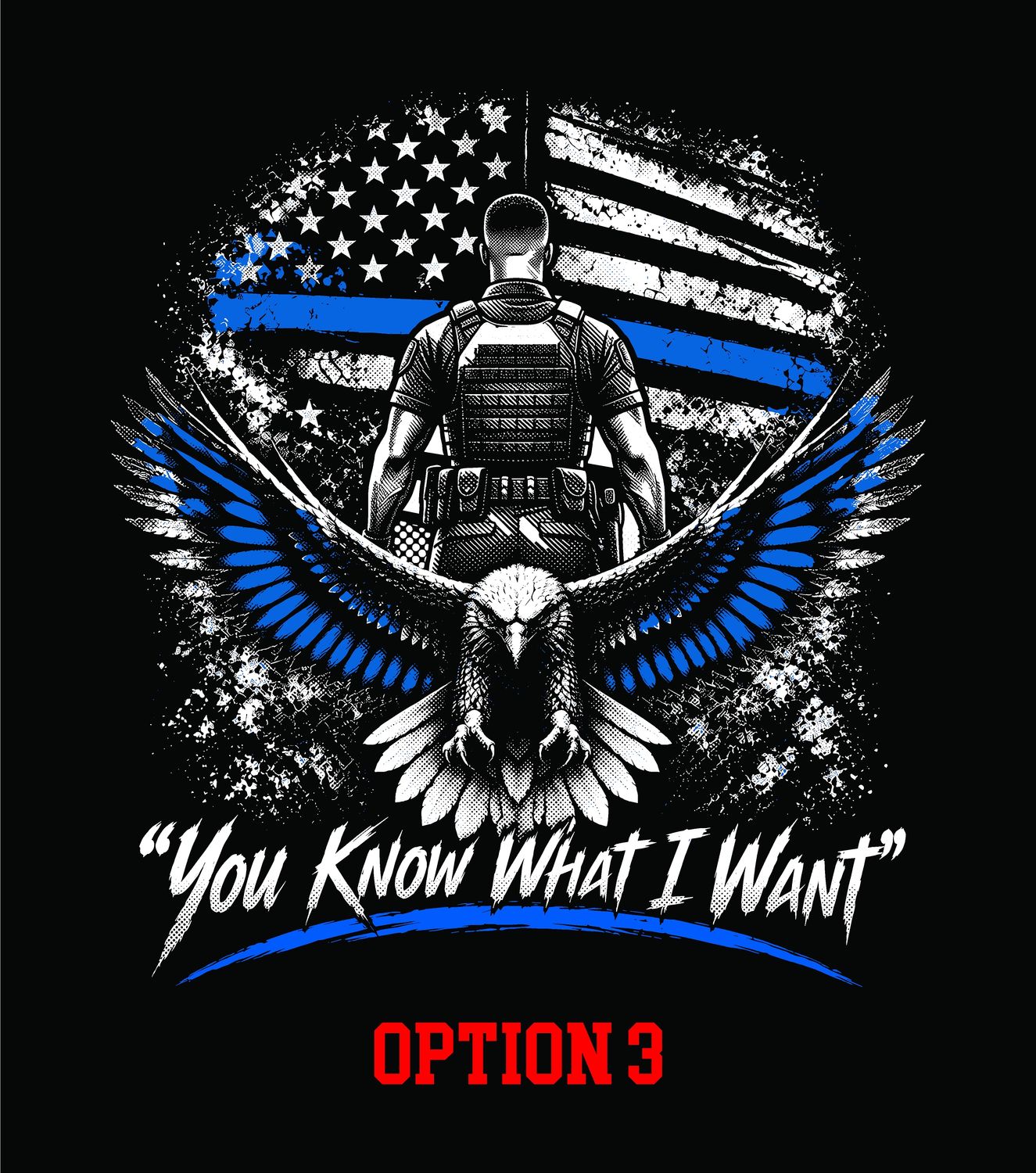 Option 3 NILEA