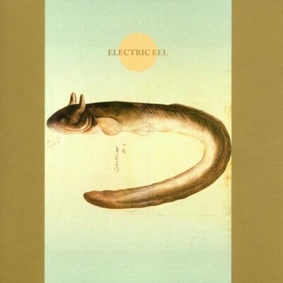 CD / Elecric Eel / 巻上公一、アントン・ブリューヒン