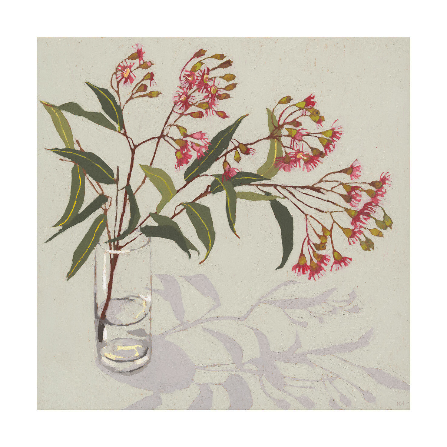 Limited Edition Fine Art Print “Flowering Gum” 60x60cm STRETCHED CANVAS