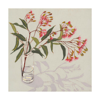 Limited Edition fine art print 'Flowering Gum’
50cm x 50cm 310gsm Photo Rag paper