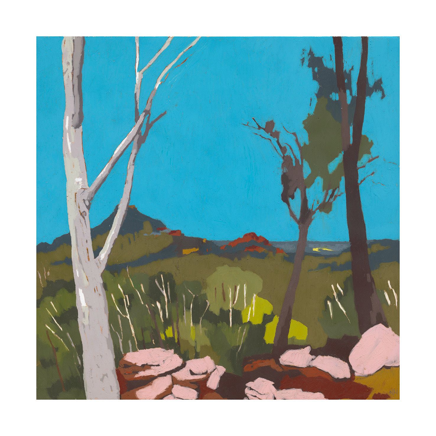 Limited Edition Fine Art Print ‘Warrumbungles’
