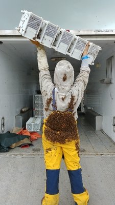 Protective Gear and Tools