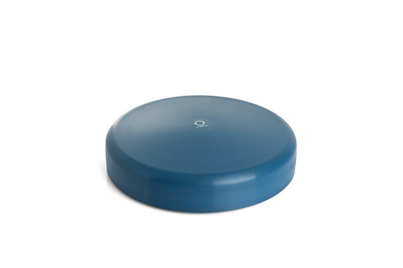 ROTARY DISK