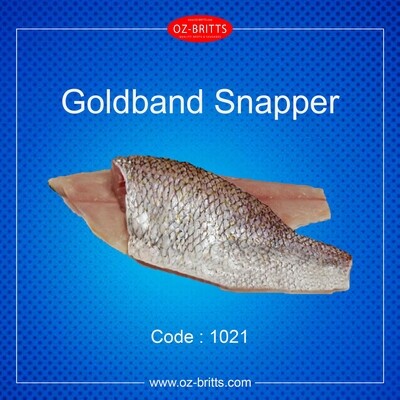 Goldband Snapper (Anggoli)