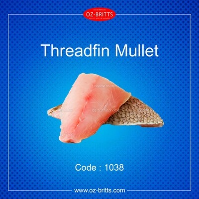 Threadfin Mullet