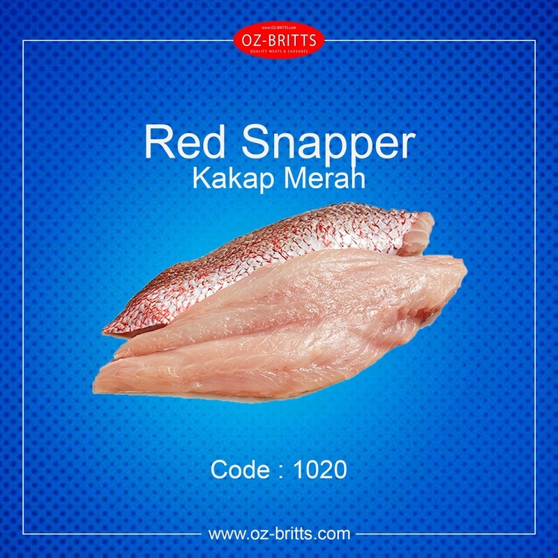 Red Snapper Fresh Fillet