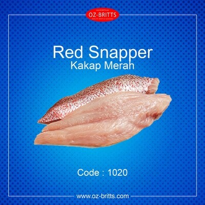 Red Snapper (Kakap Merah)