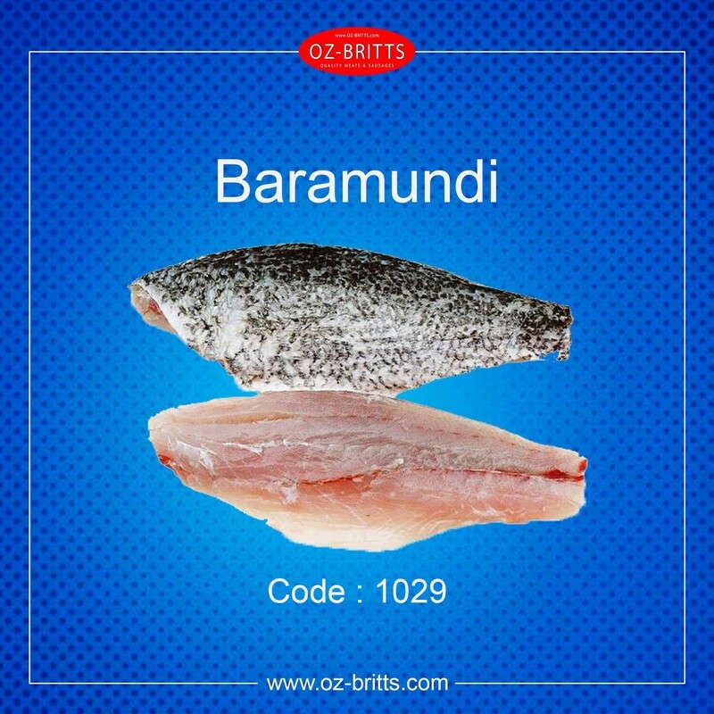 Barramundi