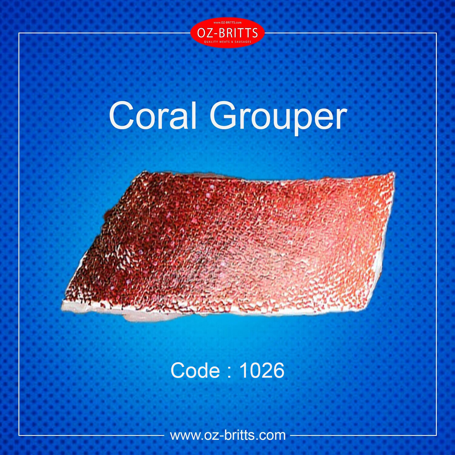 Coral Grouper