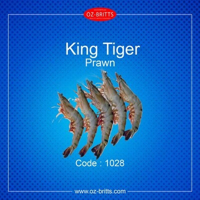 King Tiger Prawn (20)