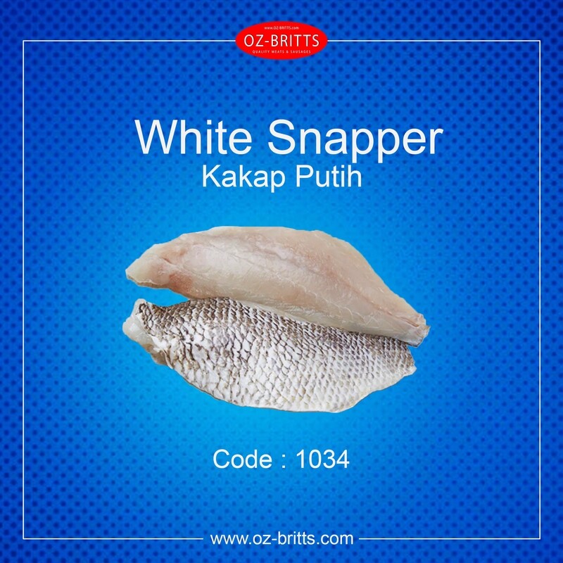 White Snapper (Kakap Putih)
