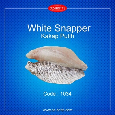 White Snapper (Kakap Putih)