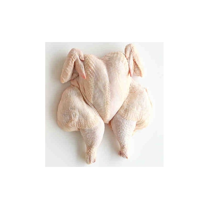 Spatch Cock