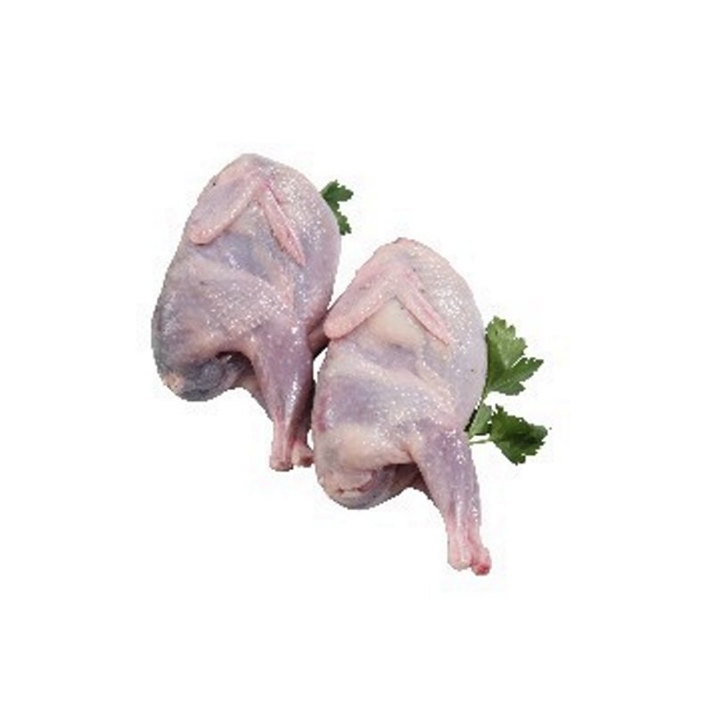 Quail