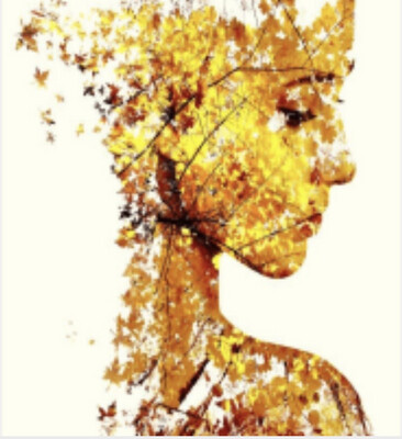 Canvas Art &amp; Framed Prints