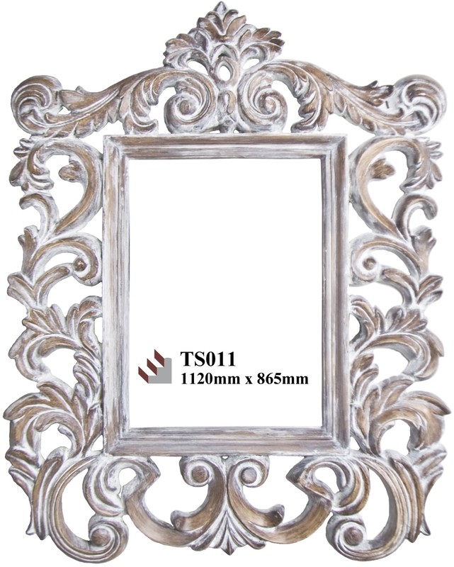 TS011