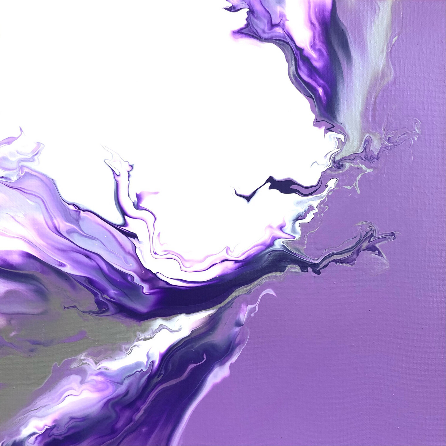 12” Viola Collection