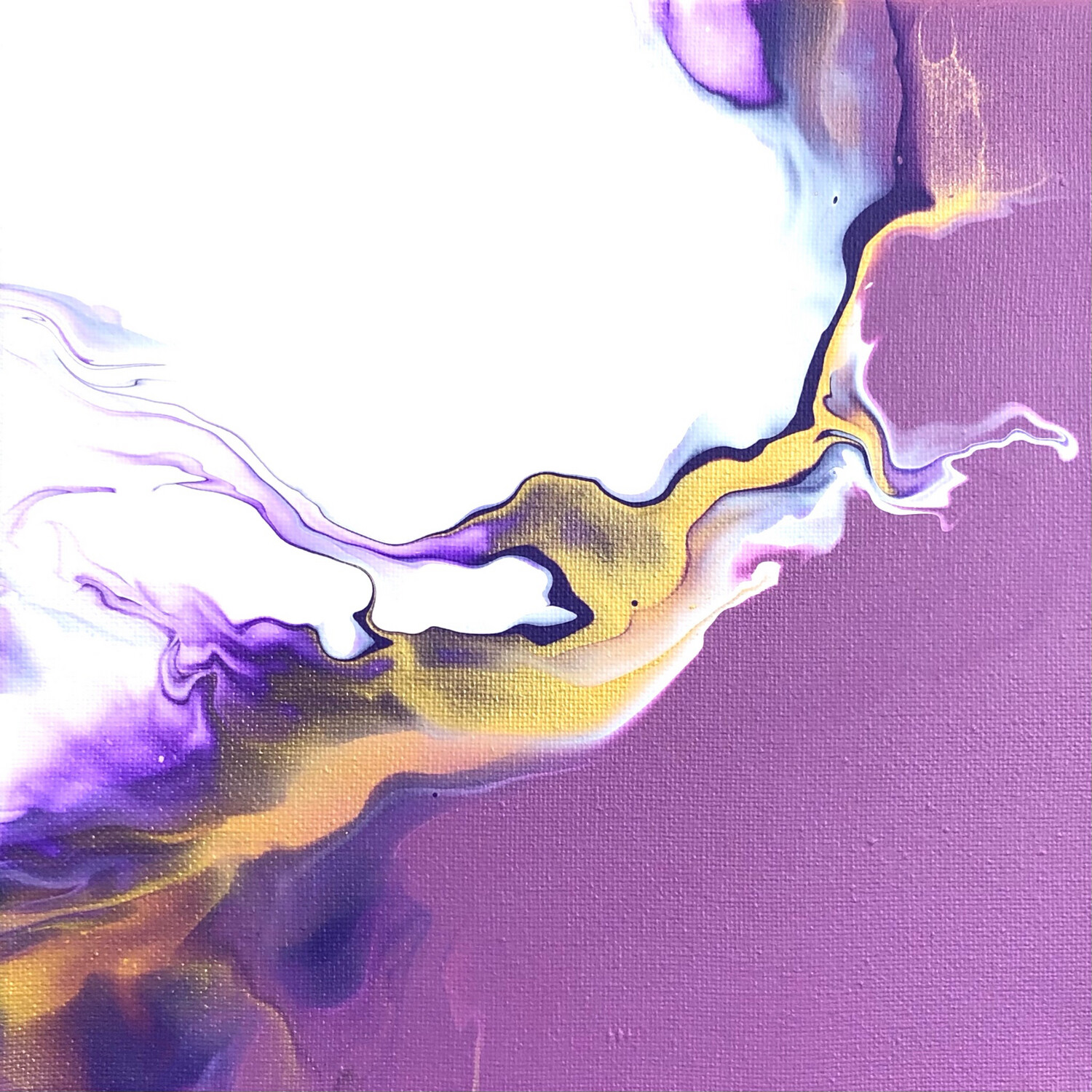 8"  Viola Collection