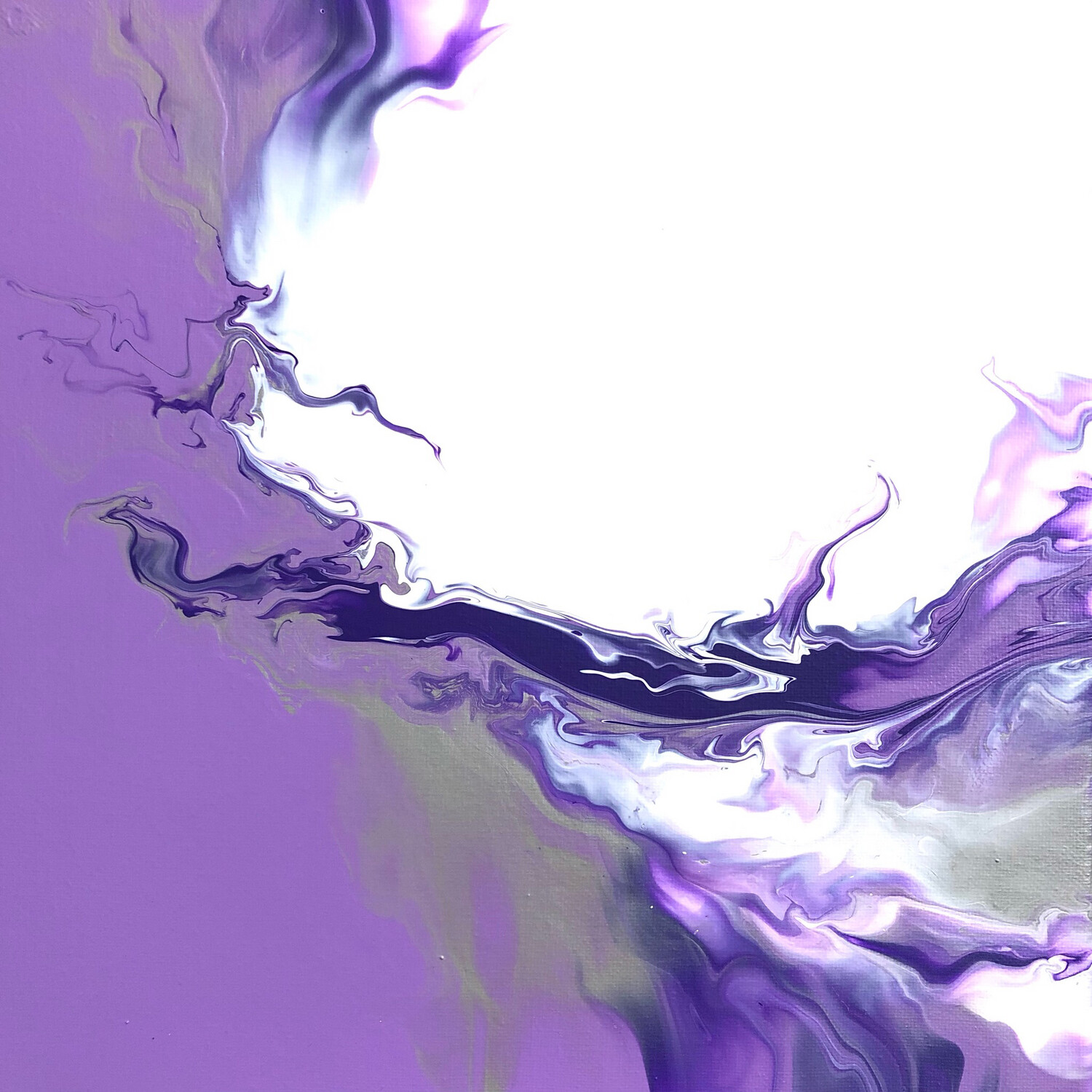 12” Viola Collection